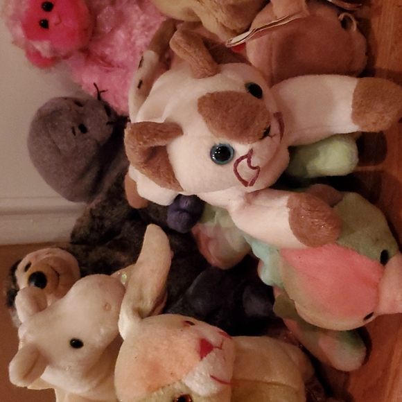 Beanie Baby Bundle (20) - Picture 5 of 6